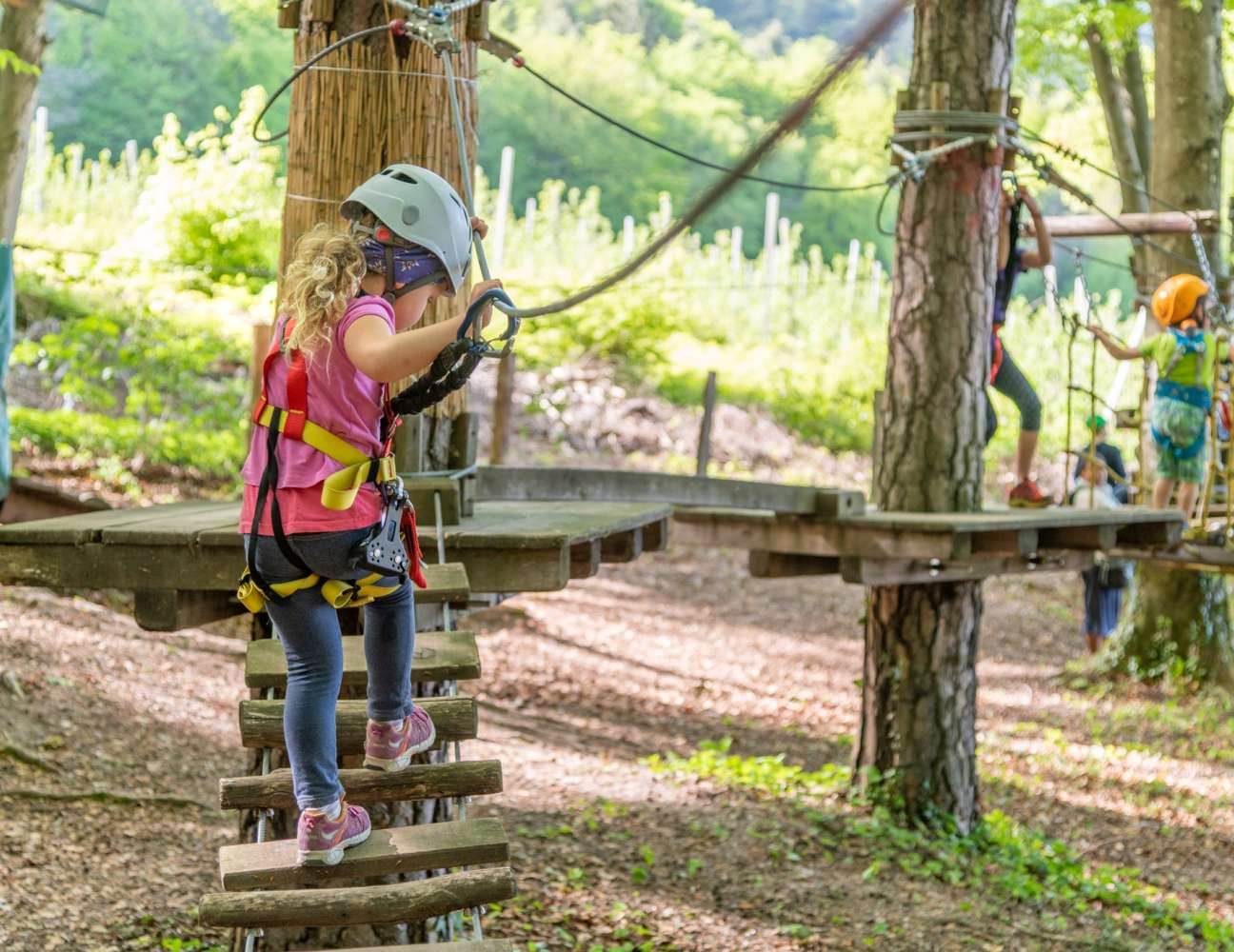 20190501163357-_8509638