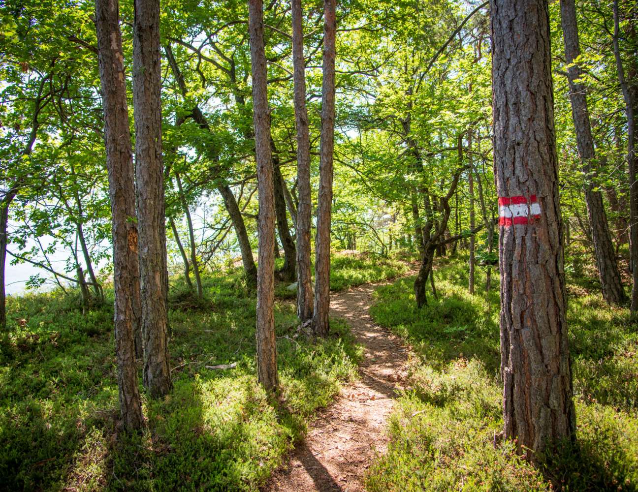 20220512122243-_8505214