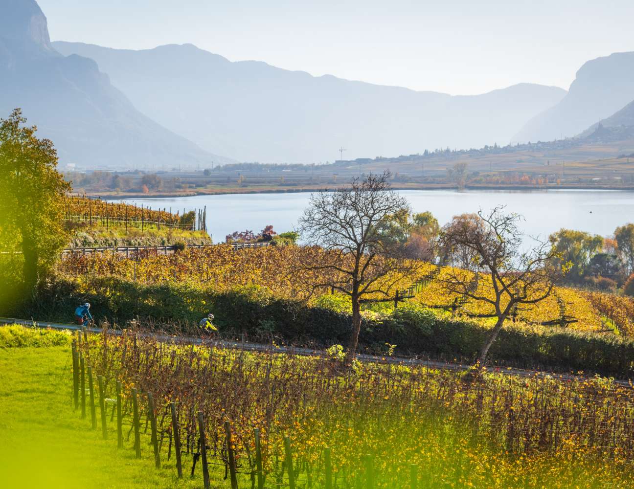 20241111141944-DSC_2839