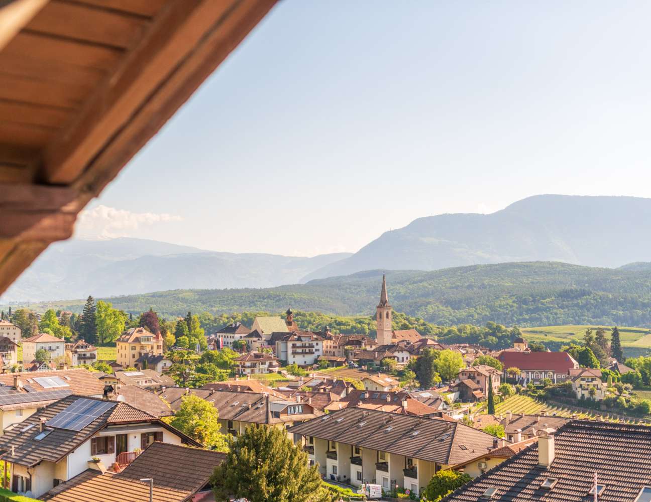 20250430092614-DSC_1023