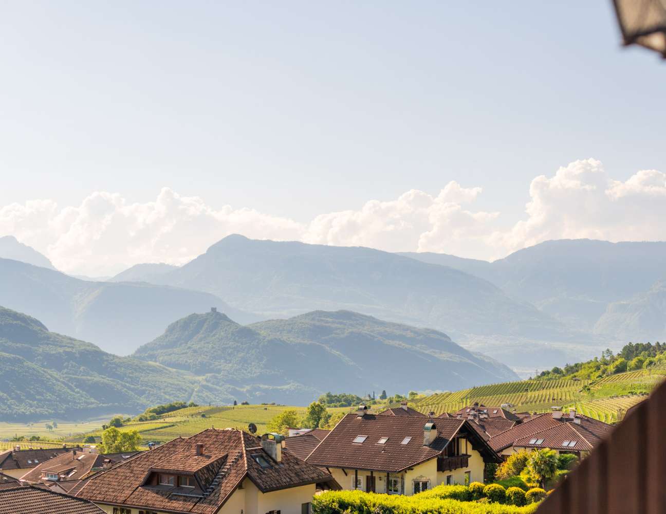 20250430092632-DSC_1024