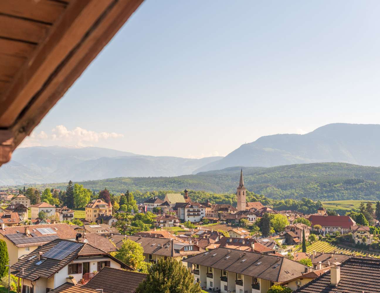 20250430092638-DSC_1025