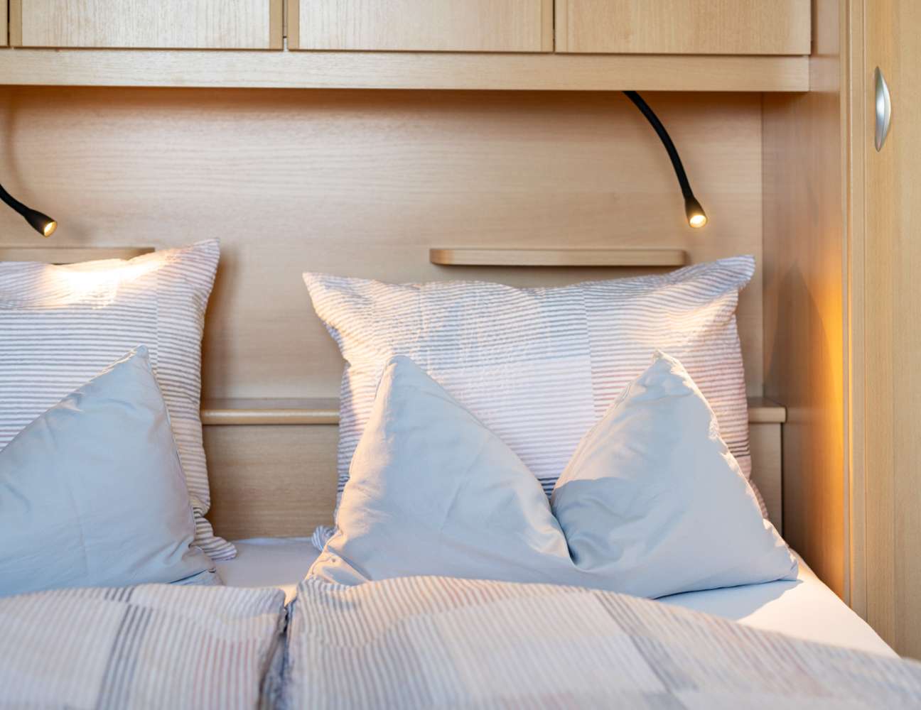 20250430094510-DSC_1044