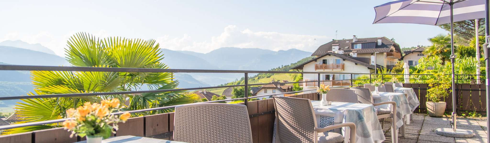 20250430090050-DSC_1002