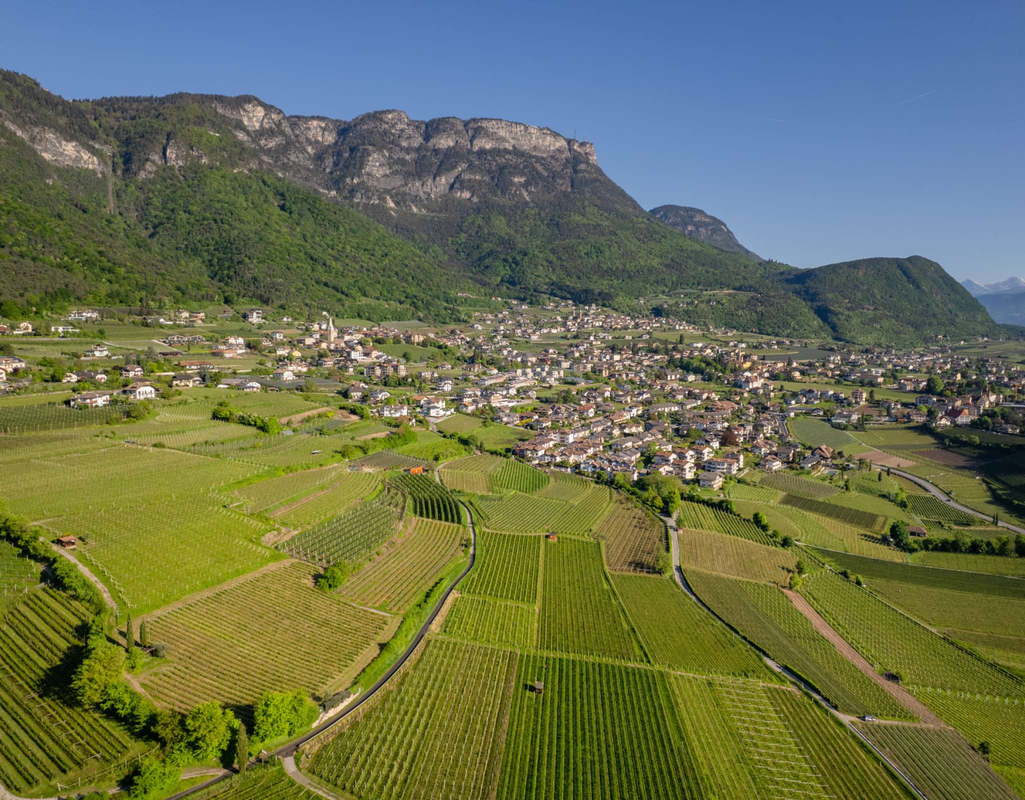 20250430082806-DJI_0594