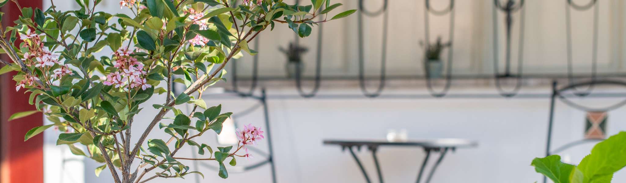 20250430083724-DSC_0970