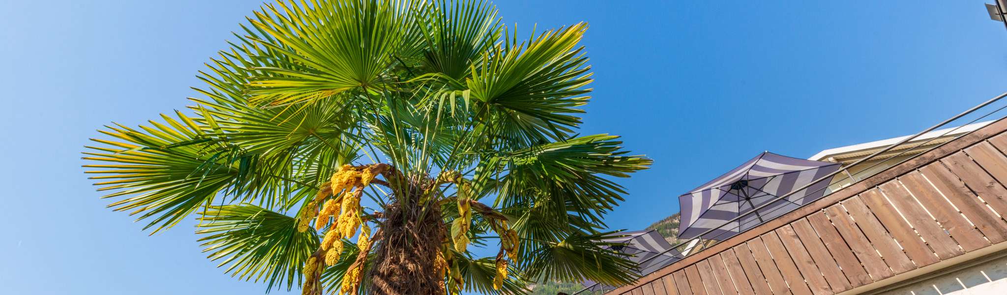 20250430085119-_8008925